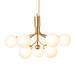 Apiales 9 Chandelier, Brushed Brass / Opal